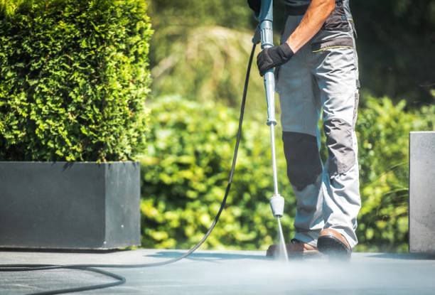 Best Soft Washing for Delicate Surfaces in Taylor, AZ
