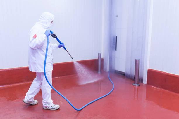Best Parking Lot Cleaning in Taylor, AZ
