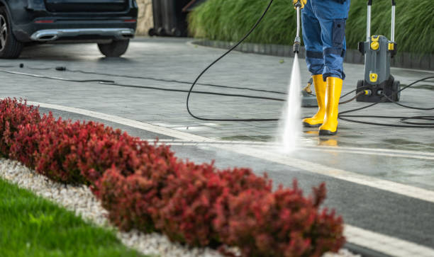Best Sidewalk and Walkway Pressure Cleaning in Taylor, AZ